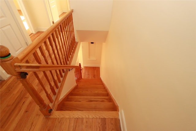 staircase with hardwood / wood-style flooring