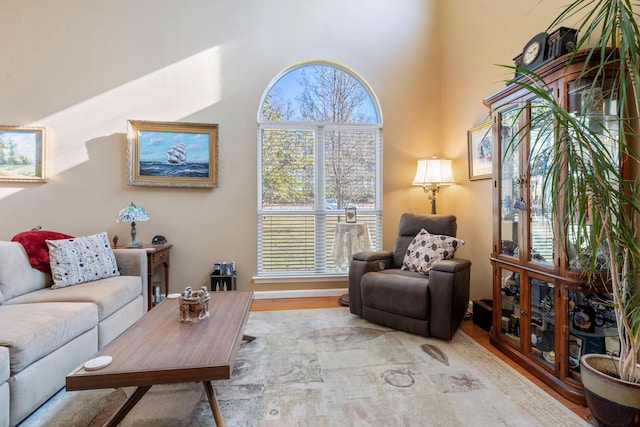 living room featuring light wood-type flooring