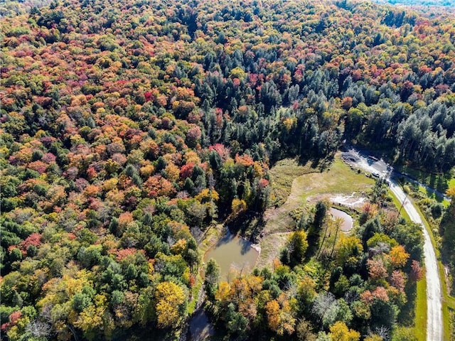 Listing photo 2 for Black Bear Xing, Parksville NY