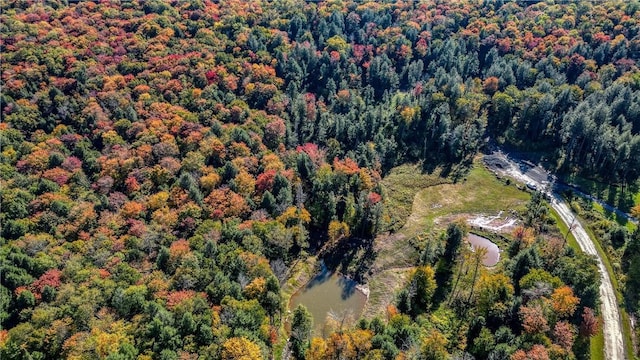 Listing photo 3 for Black Bear Xing, Parksville NY