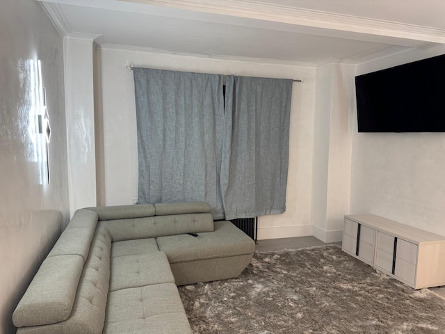 living room featuring ornamental molding