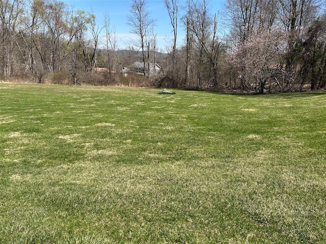 176 Doansburg Rd Unit 172, Brewster, NY 10509 - view of yard