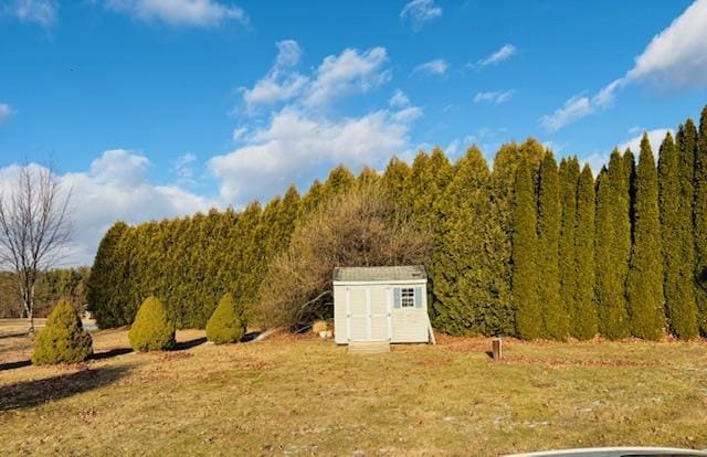 view of yard with a rural view and a storage unit