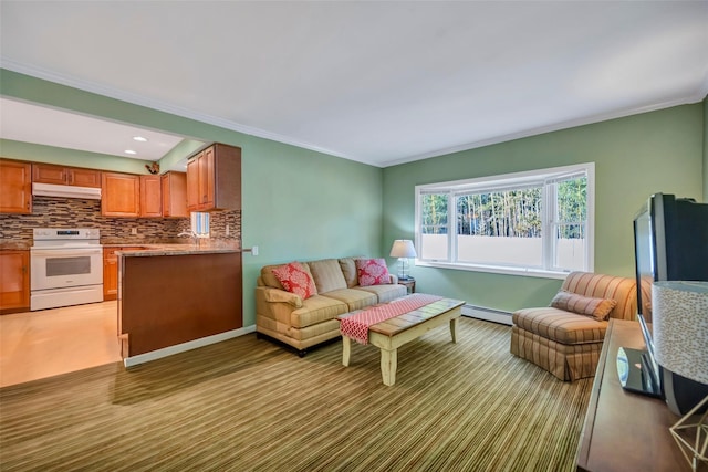 living room with a baseboard radiator and crown molding