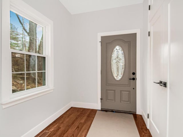 foyer with dark wood-type flooring