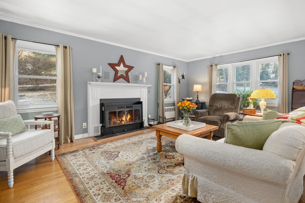 10 Birch Hill Rd, Brewster, NY 10509 - living room featuring plenty of natural light, ornamental molding, a fireplace with flush hearth, and wood finished floors