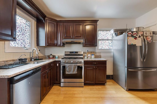 kitchen with sink, light wood-type flooring, plenty of natural light, and appliances with stainless steel finishes