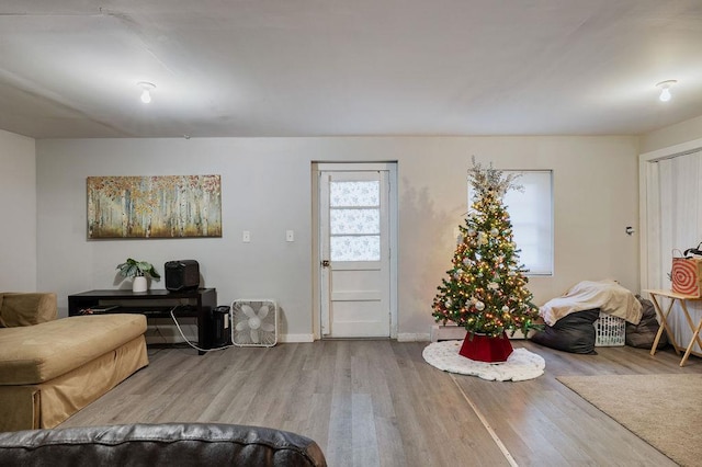 living room featuring light hardwood / wood-style flooring