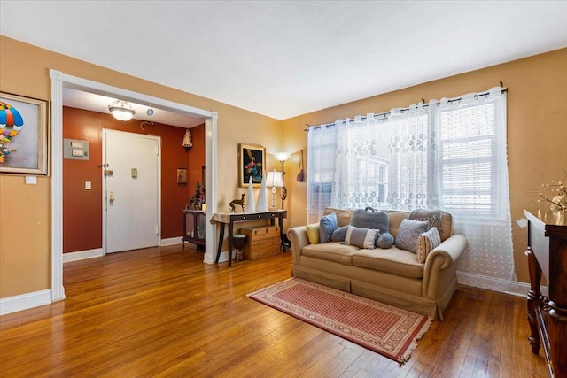 living room with wood-type flooring