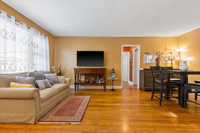 living room featuring hardwood / wood-style floors