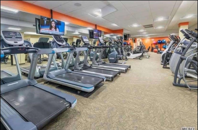 workout area featuring a paneled ceiling and carpet flooring