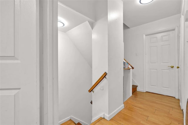 stairway with wood-type flooring