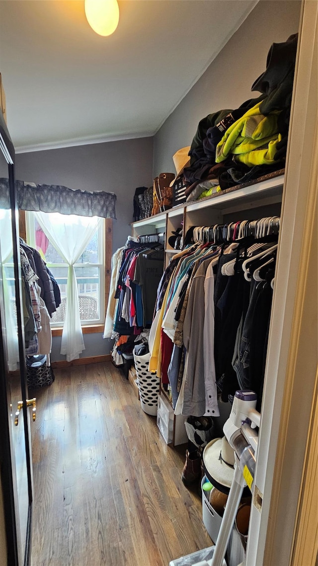 spacious closet with hardwood / wood-style floors