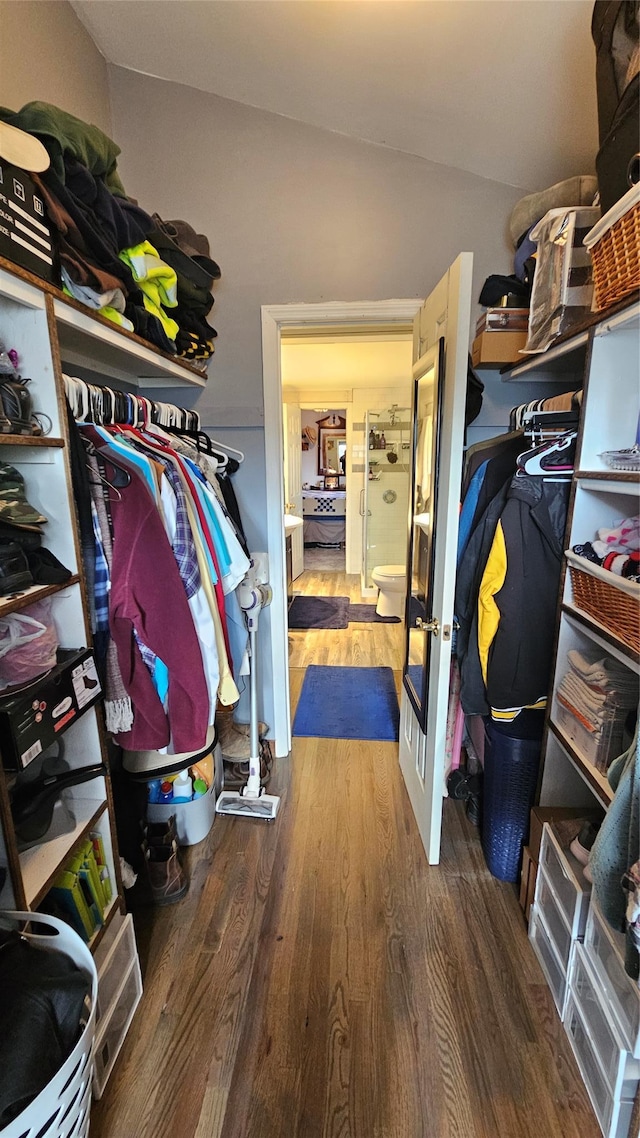 walk in closet with hardwood / wood-style floors