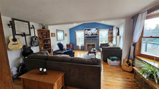 living room with lofted ceiling and wood-type flooring