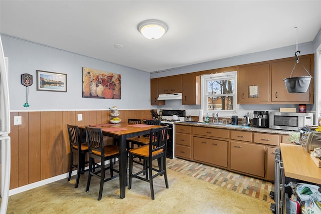 kitchen with decorative light fixtures, wood walls, gas stove, and sink