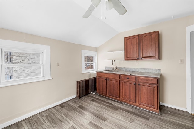 kitchen with vaulted ceiling, radiator, light wood-type flooring, ceiling fan, and sink