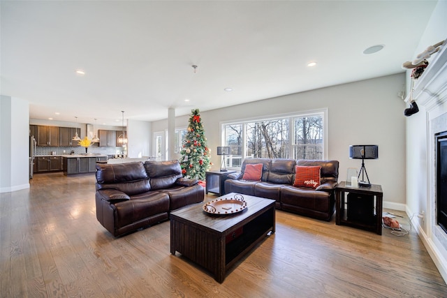 living room with a fireplace and light hardwood / wood-style floors