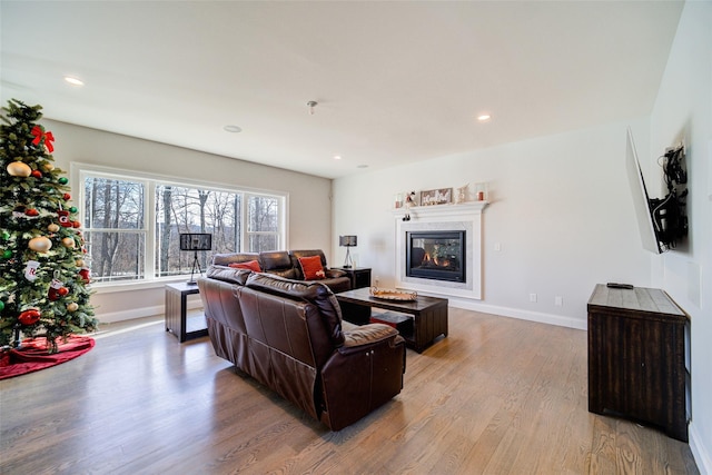 living room featuring light wood-type flooring