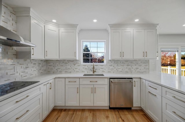 kitchen with sink, white cabinets, wall chimney exhaust hood, tasteful backsplash, and stainless steel dishwasher