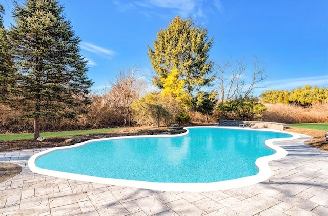 view of pool featuring a patio area