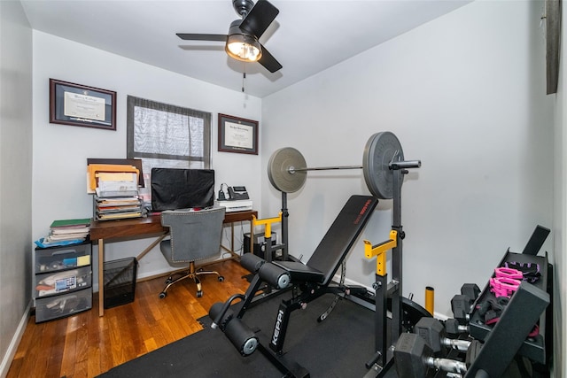 workout area with ceiling fan and hardwood / wood-style floors