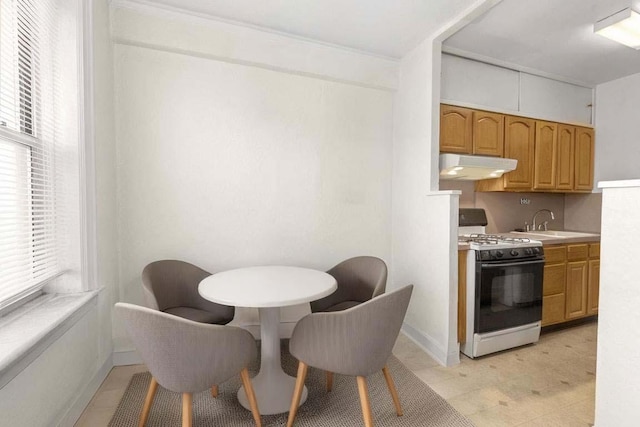 kitchen featuring sink and white gas stove