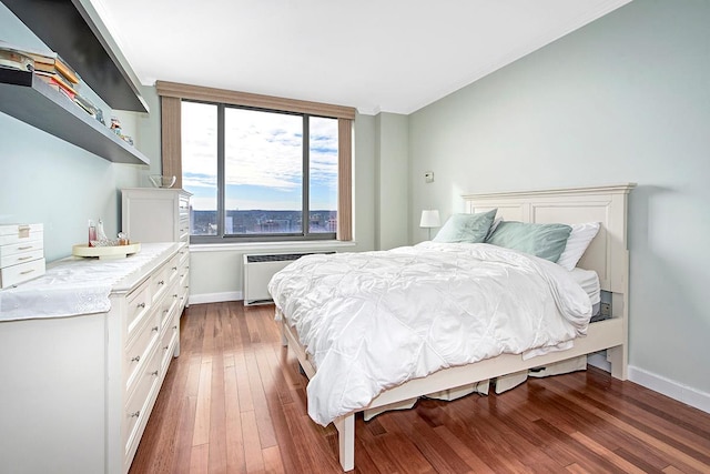 bedroom featuring radiator and dark wood-type flooring