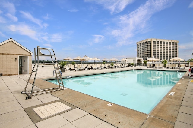 view of swimming pool with a patio