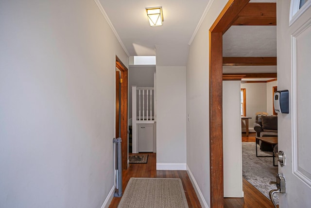 hall featuring crown molding and dark hardwood / wood-style floors