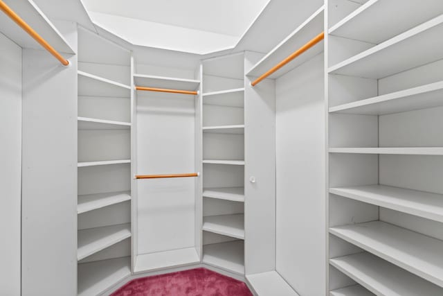 walk in closet featuring carpet floors