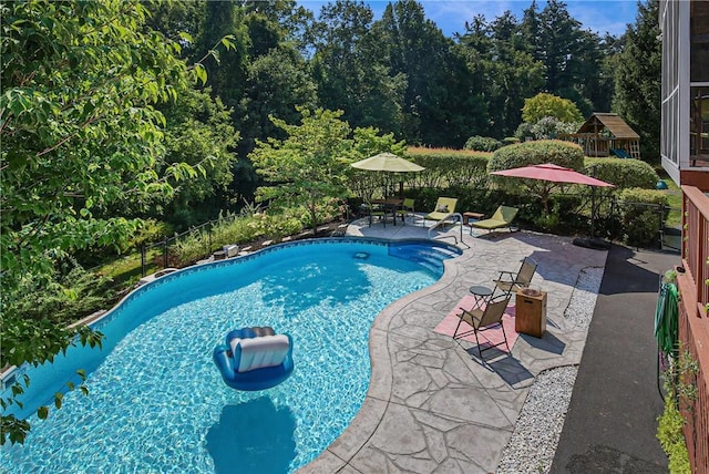 view of swimming pool with a patio