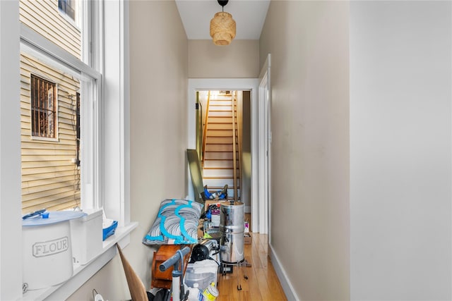 hallway with hardwood / wood-style flooring and plenty of natural light