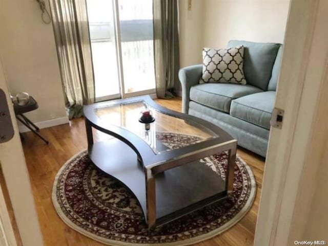 sitting room featuring light hardwood / wood-style floors