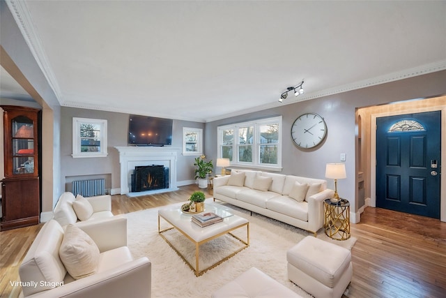 living room with radiator, crown molding, and light wood-type flooring