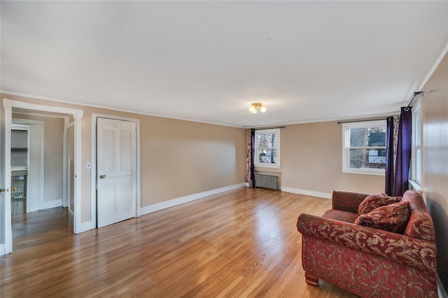 living room with radiator heating unit and light hardwood / wood-style floors