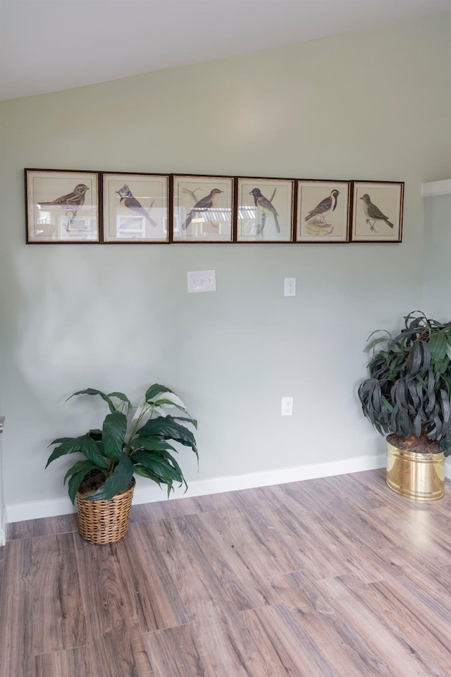 room details with hardwood / wood-style floors