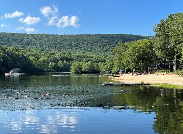 property view of water