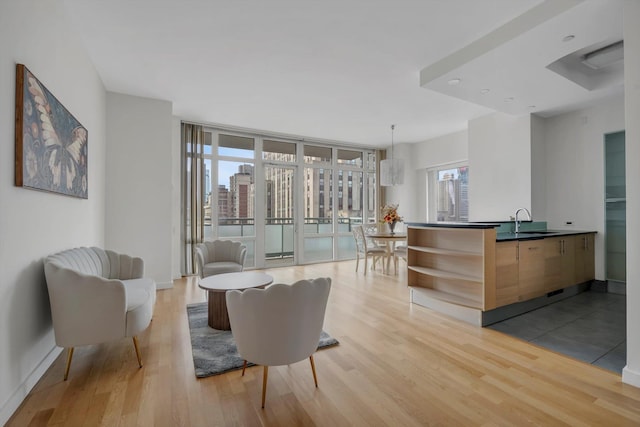 interior space featuring expansive windows, a sink, light wood-style flooring, and baseboards