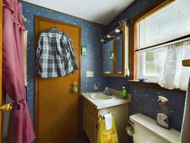 bathroom with toilet and vanity