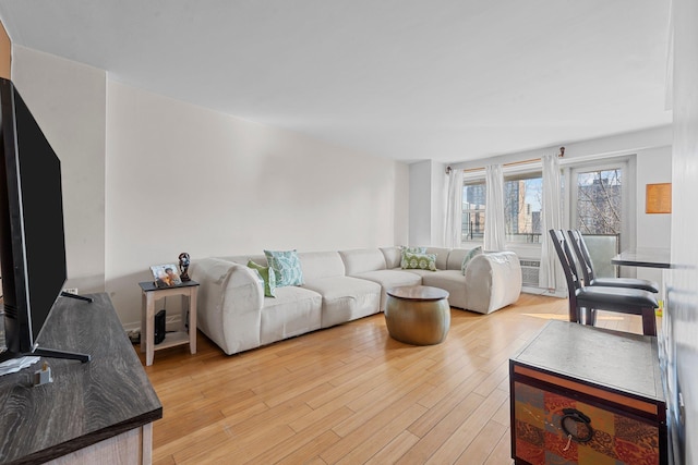 living room with light hardwood / wood-style flooring