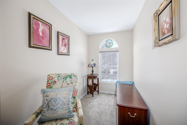 sitting room with light carpet