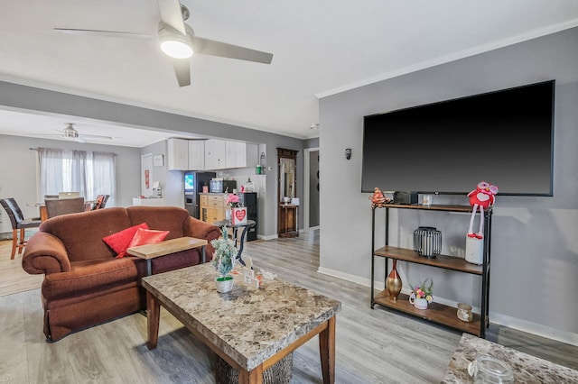 living room with ceiling fan, crown molding, and light wood-type flooring