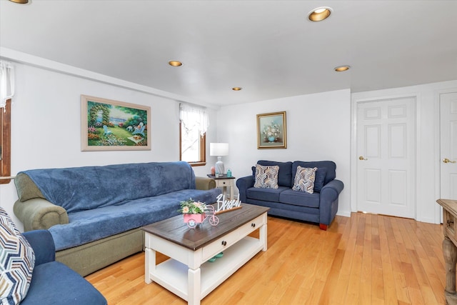 living room with hardwood / wood-style flooring