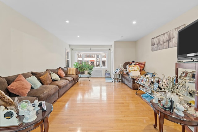 living room with light wood-type flooring