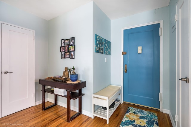 foyer entrance featuring hardwood / wood-style flooring