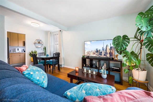 living room with light hardwood / wood-style floors