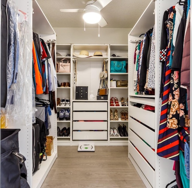 walk in closet with light hardwood / wood-style floors and ceiling fan