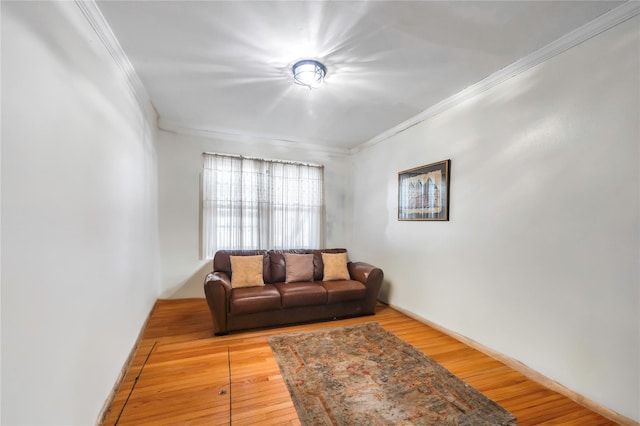 living room with crown molding and wood-type flooring