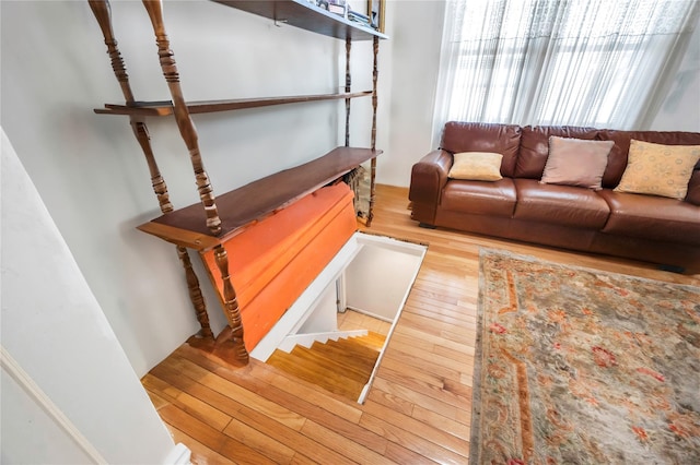 living room with wood-type flooring